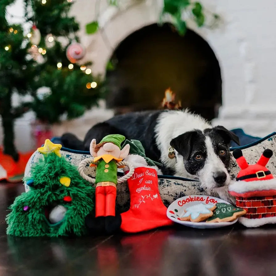 Jouet pour chien de Noël - Petit lutin du Père Noël