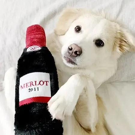 Jouet pour chien – Bouteille de vin rouge