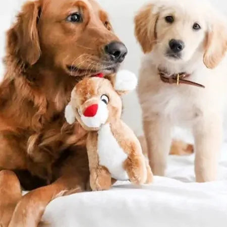 Jouet pour chien - Renne de Noël
