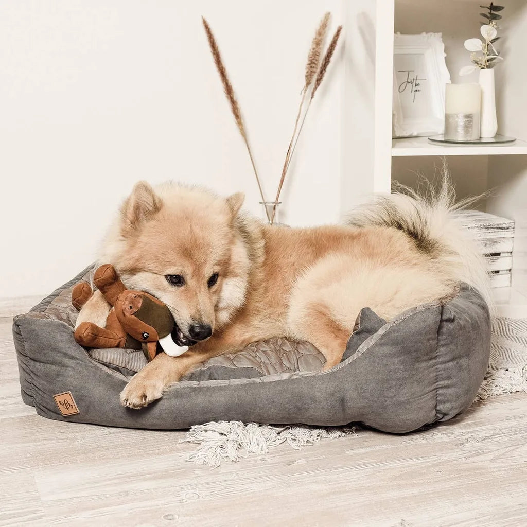 Jouet pour chien robuste avec couineur - Buffle