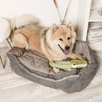Jouet pour chien robuste avec couineur - Crocodile