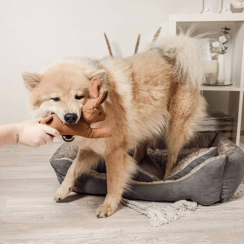 Jouet pour chien robuste avec couineur - Lapin