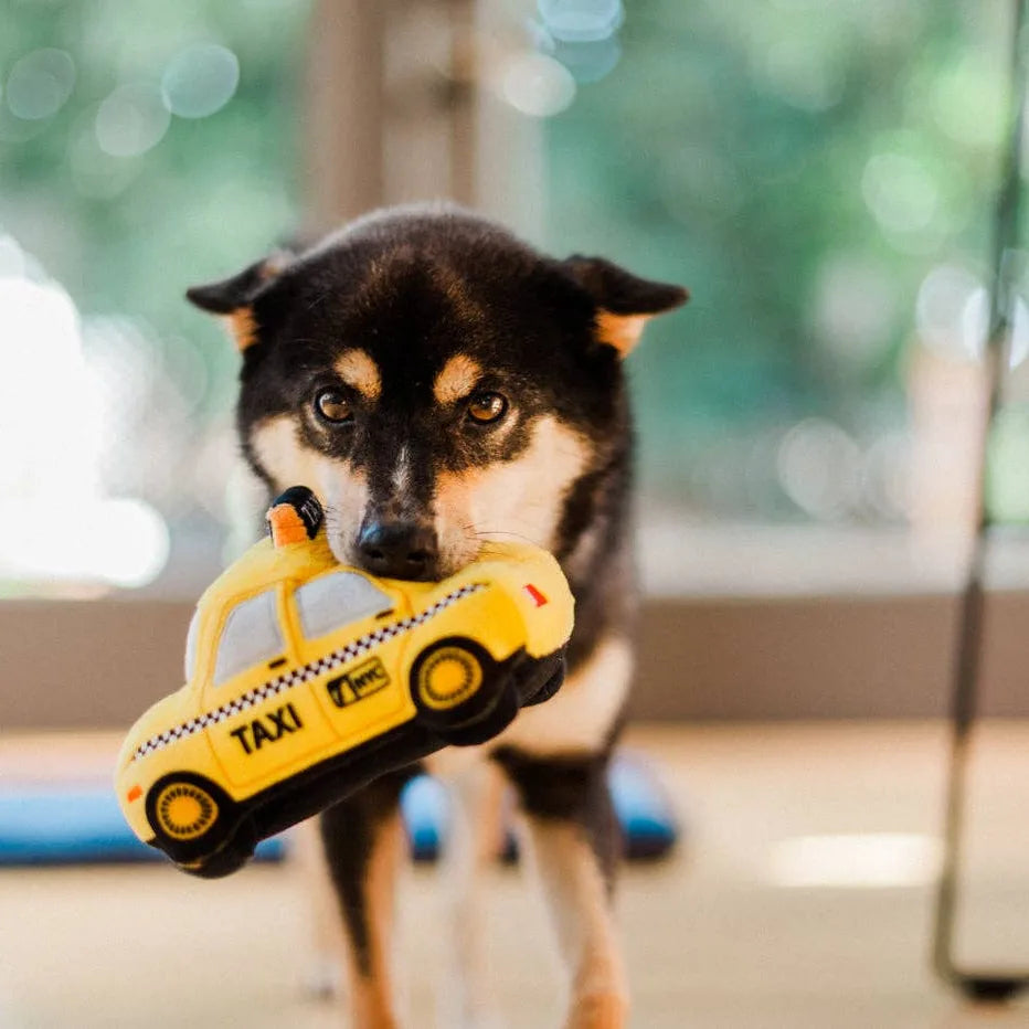 Jouet pour chien - Taxi New-York