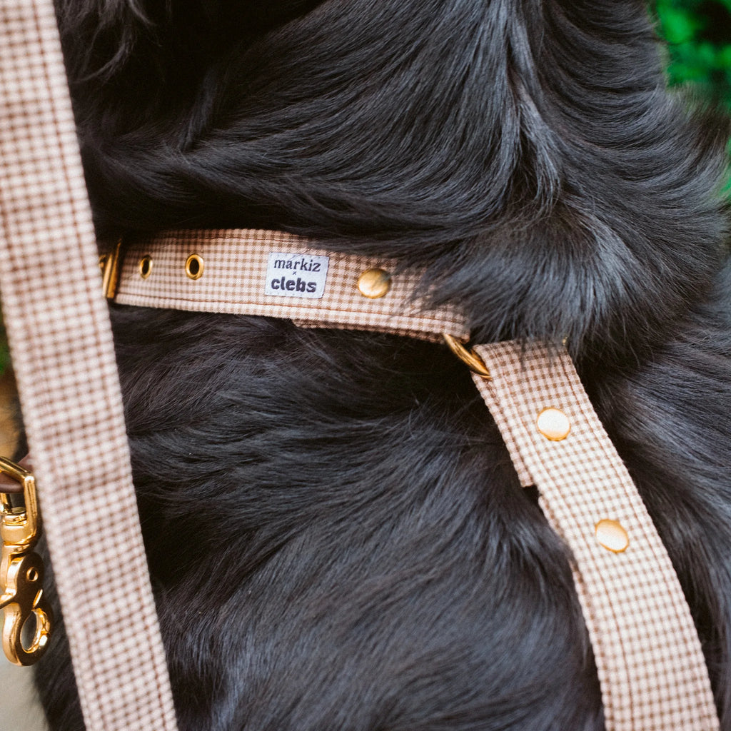 Laisse Vichy Atelier Markiz x Clebs
