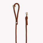 Laisse simple corde