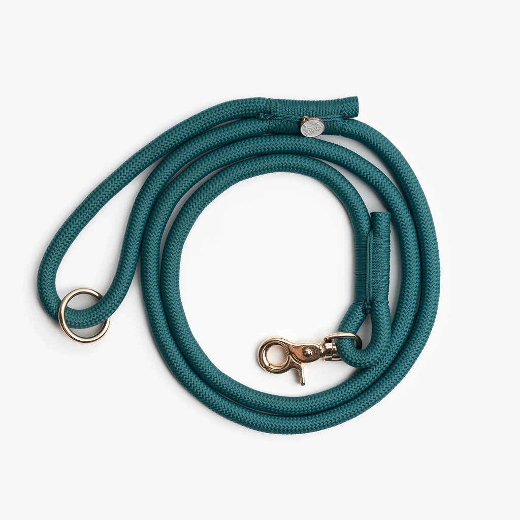 Laisse simple corde