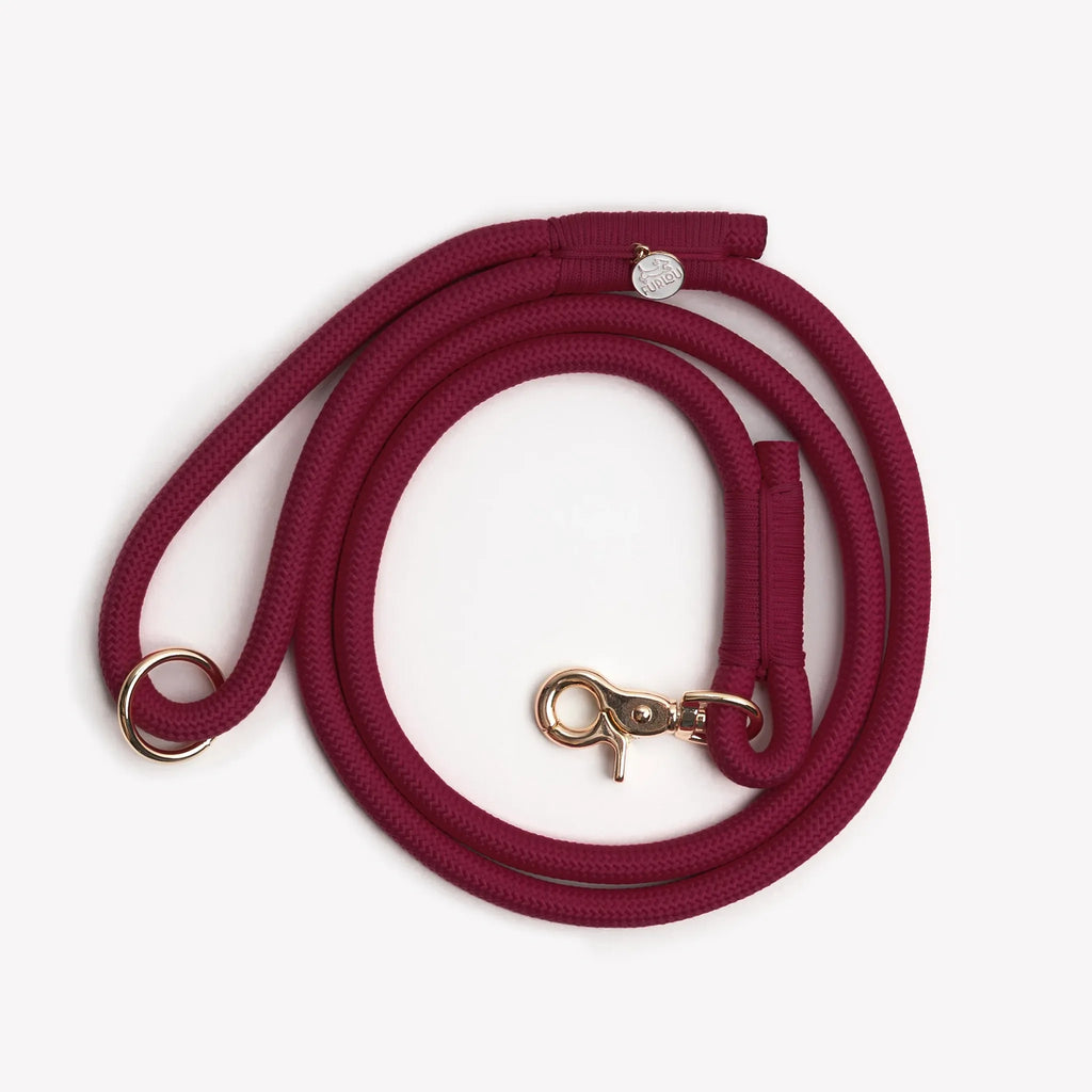Laisse simple corde