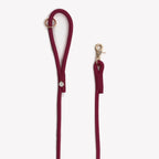 Laisse simple corde