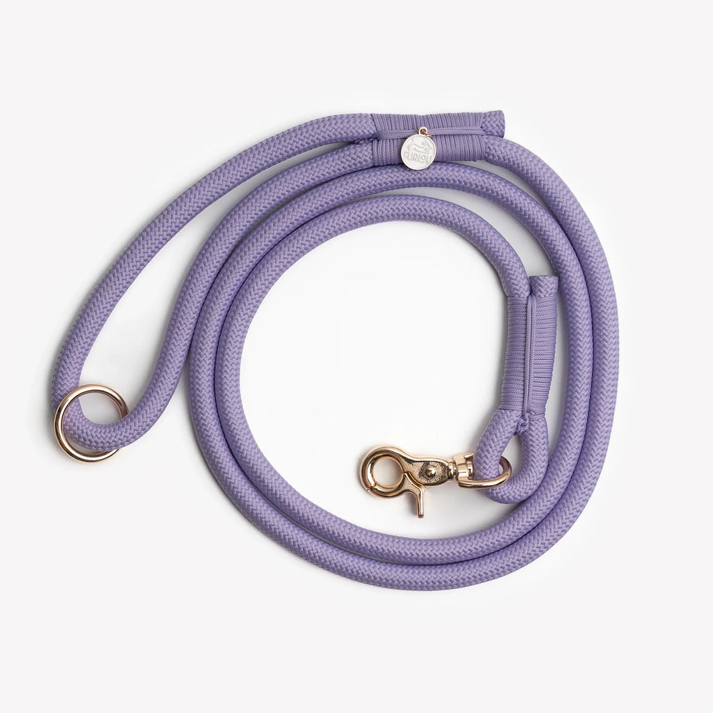 Laisse simple corde