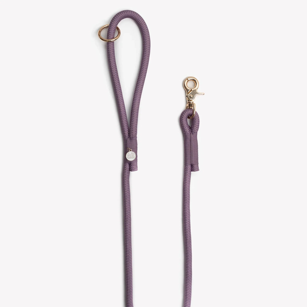 Laisse simple corde