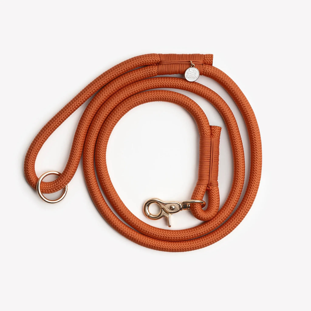 Laisse simple corde