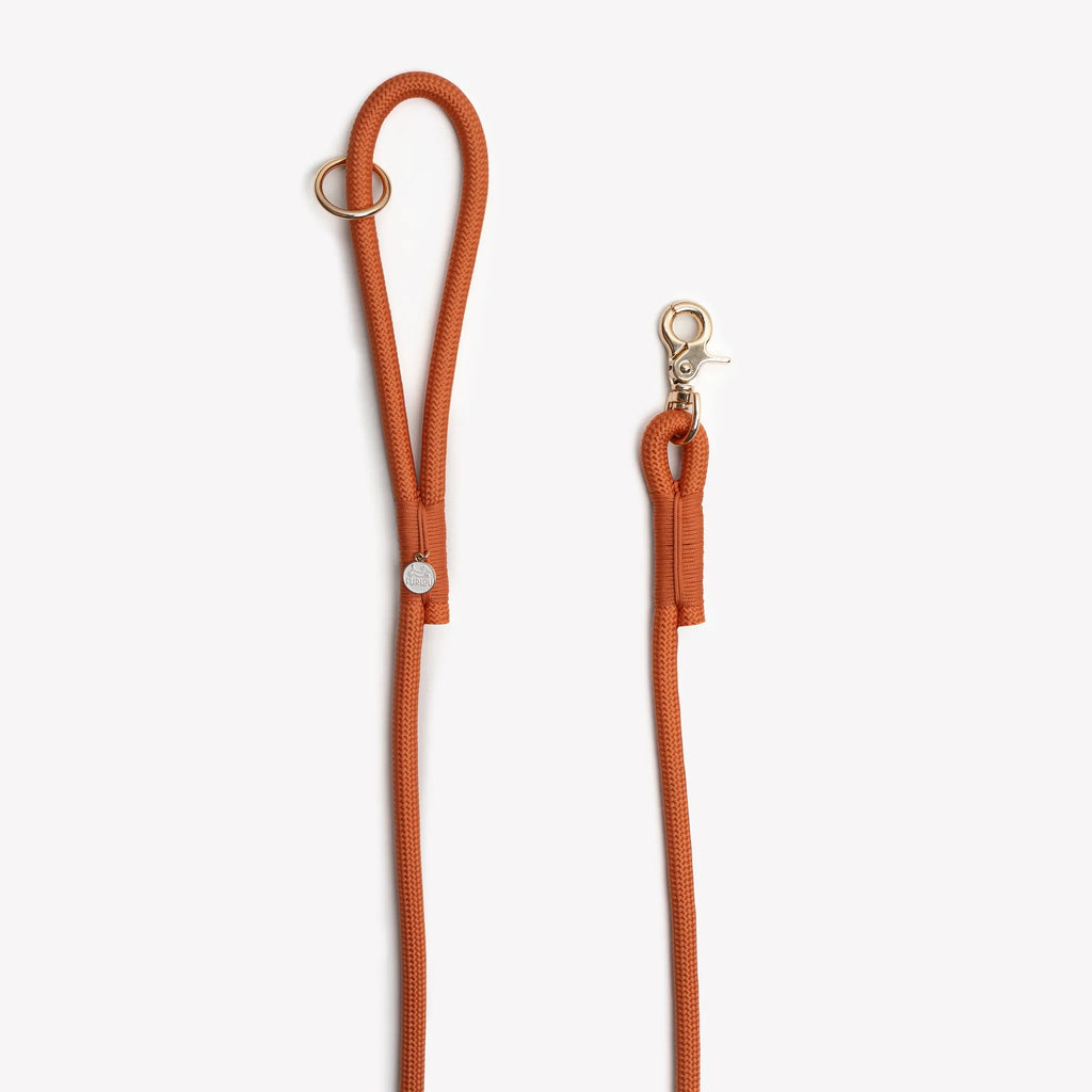 Laisse simple corde