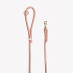 Laisse simple corde