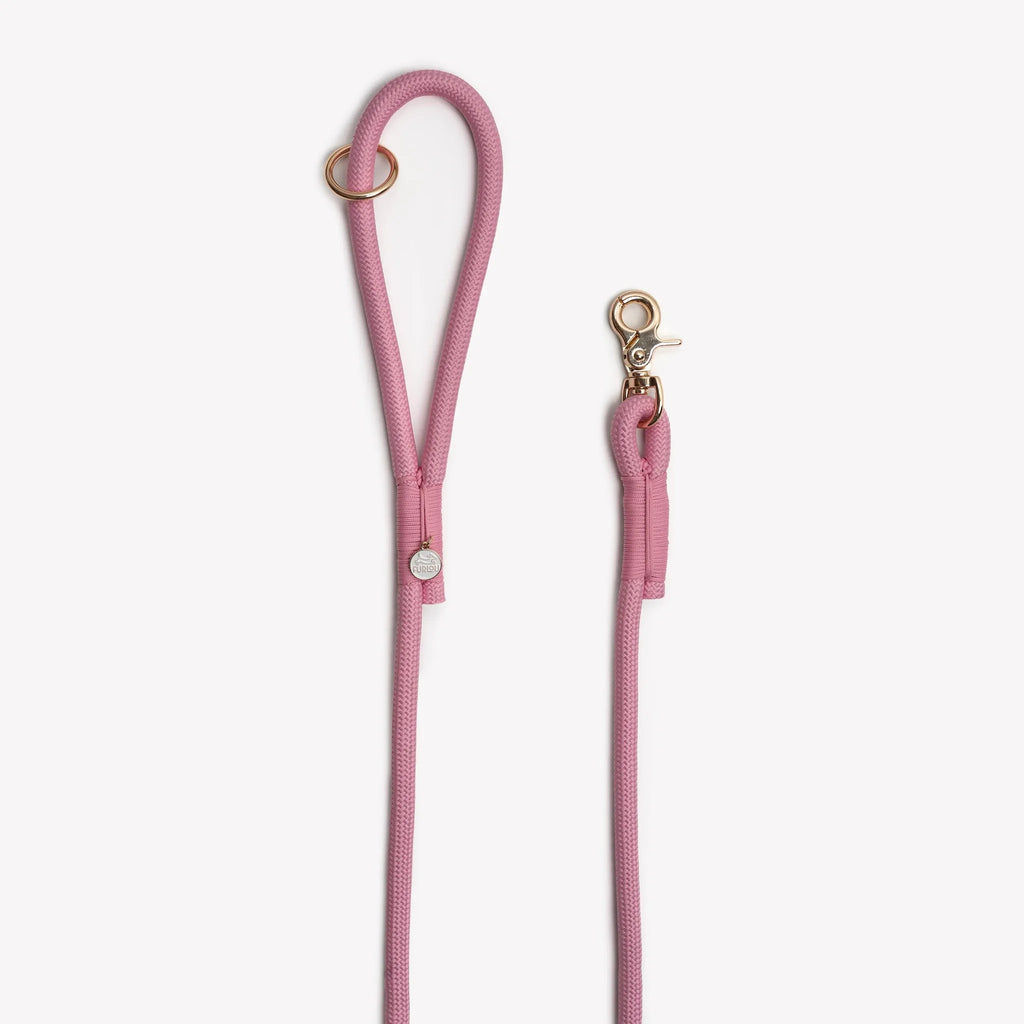 Laisse simple corde