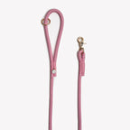 Laisse simple corde