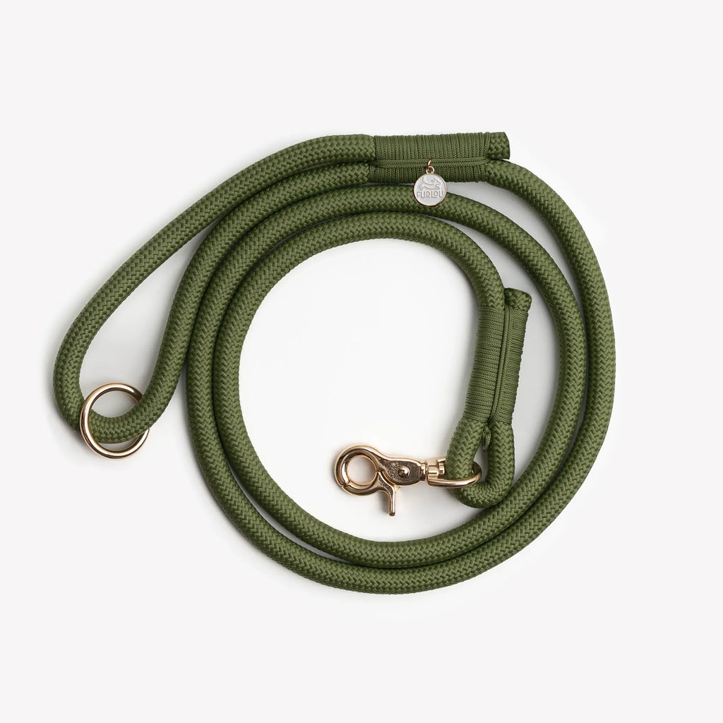 Laisse simple corde