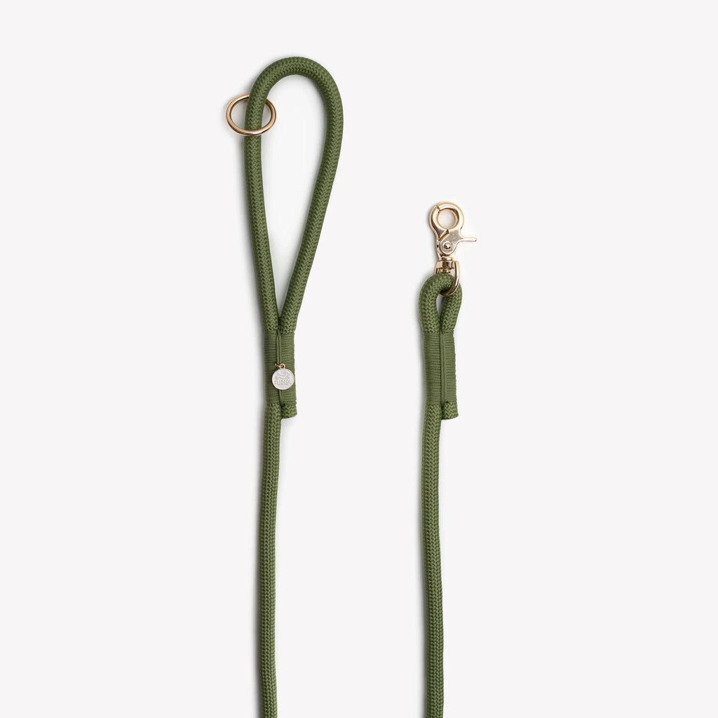 Laisse simple corde