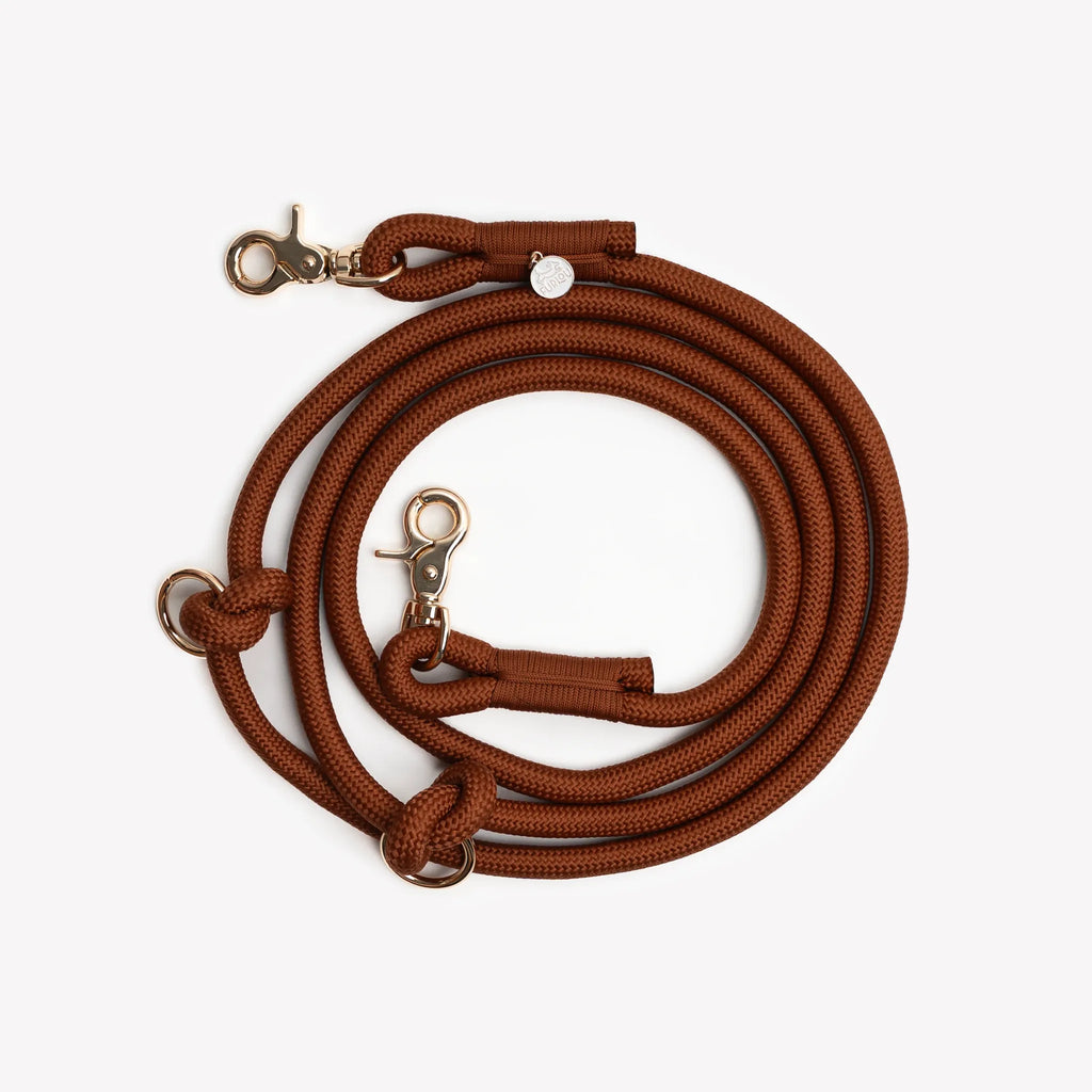 Laisse longue "mains-libres" corde