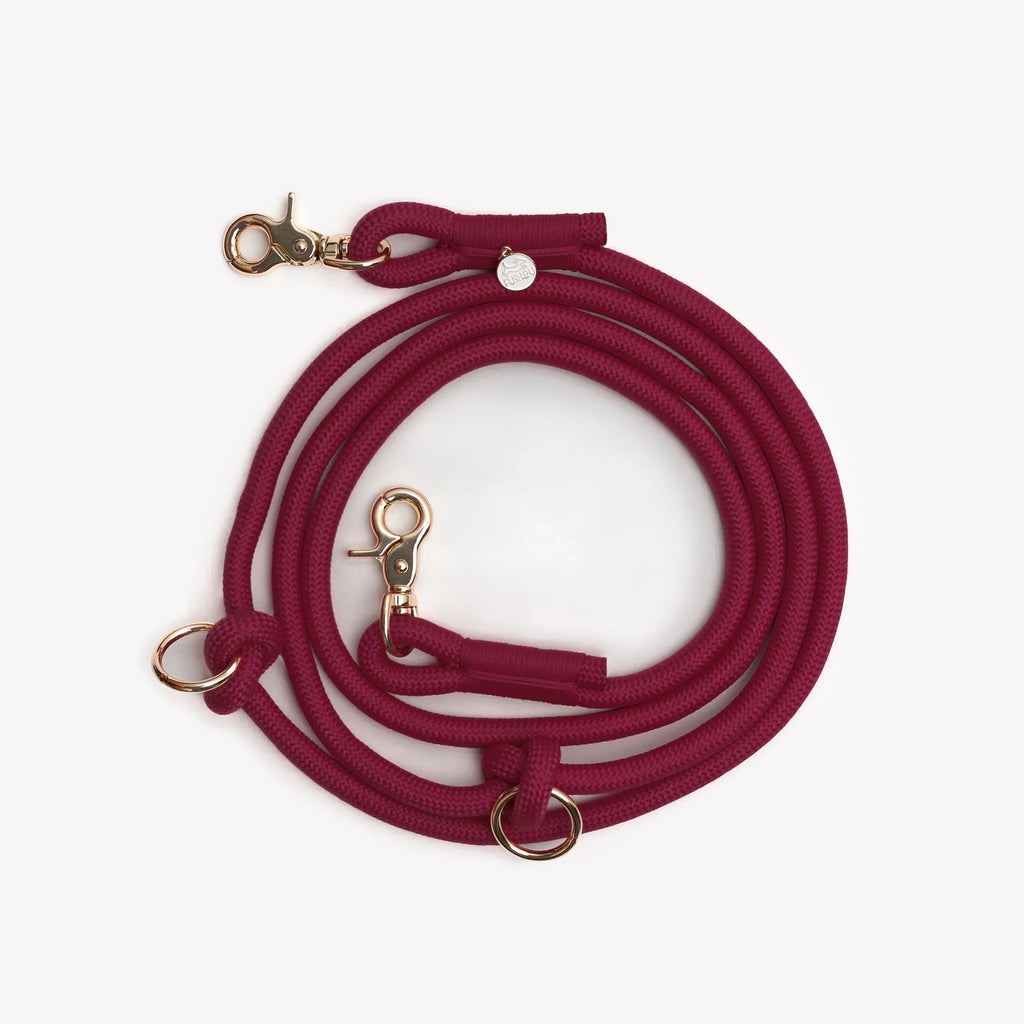 Laisse longue "mains-libres" corde