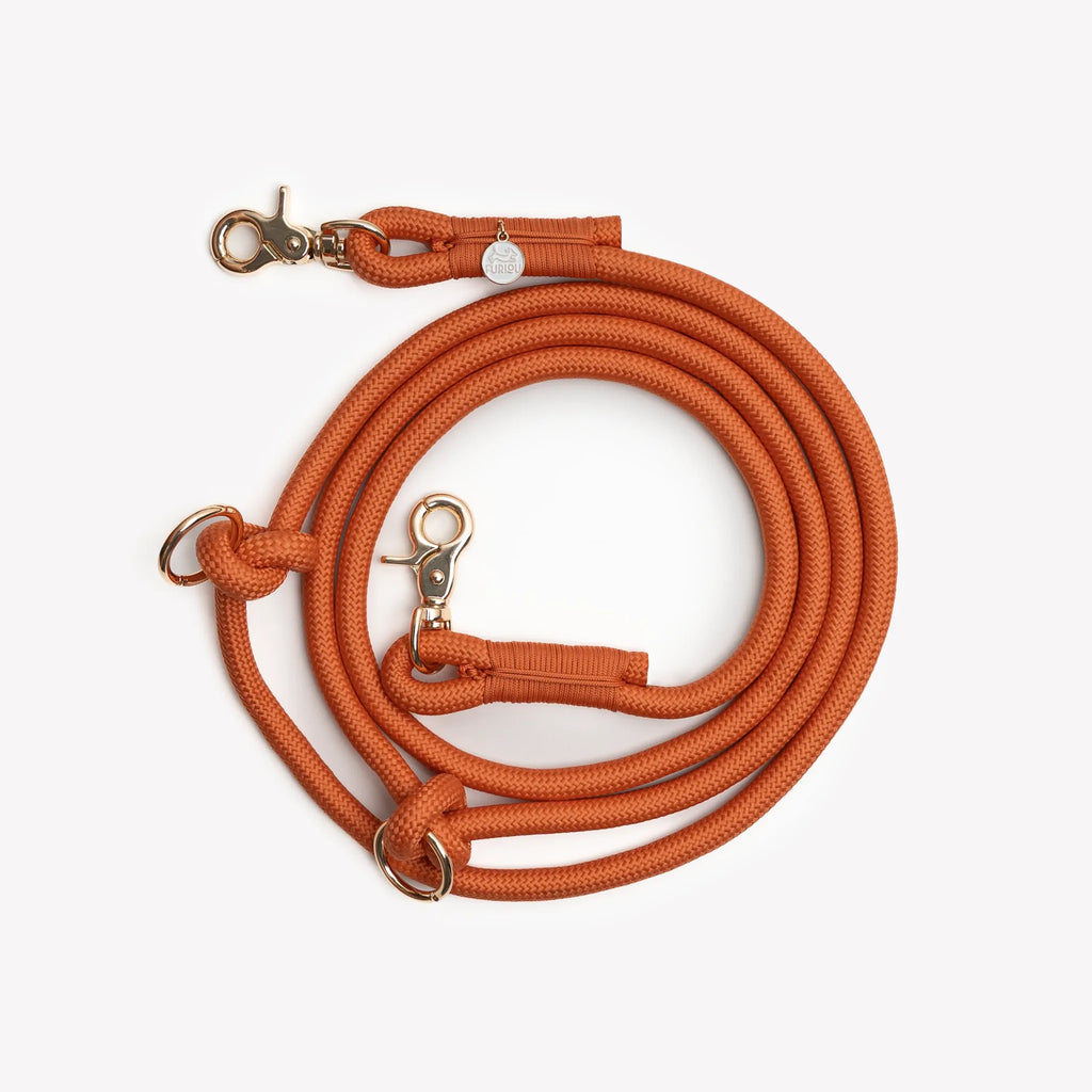 Laisse longue "mains-libres" corde