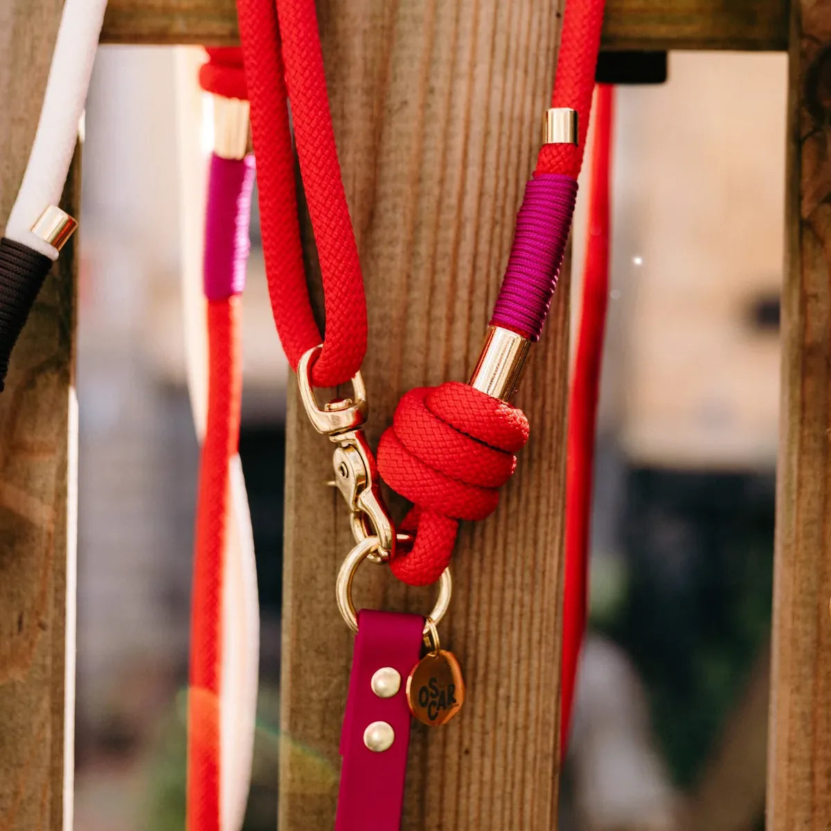 Laisse multi-positions 240cm Bi-matière magenta / rouge