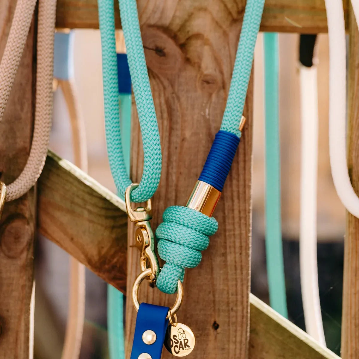 Laisse multi-positions 240cm Bi-matière bleu roi / menthe