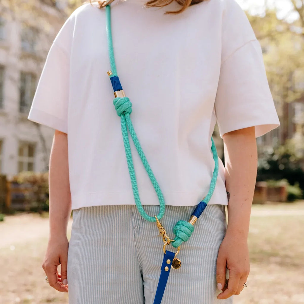 Laisse multi-positions 240cm Bi-matière bleu roi / menthe