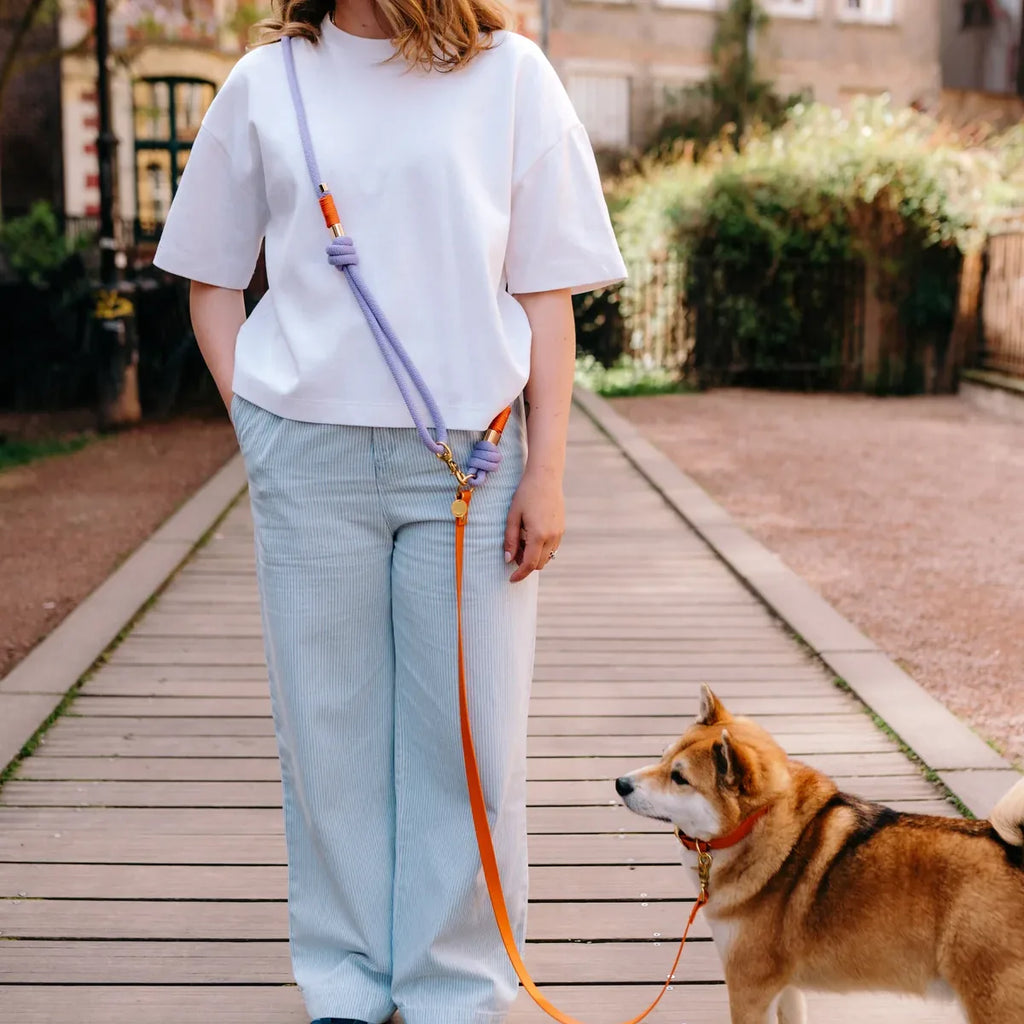 Laisse multi-positions 240cm Bi-matière orange / lilas