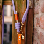 Laisse multi-positions 240cm Bi-matière orange / lilas