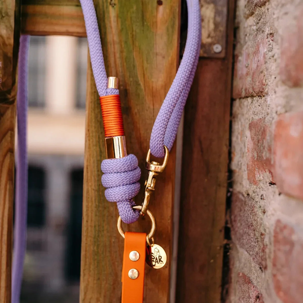 Laisse multi-positions 240cm Bi-matière orange / lilas