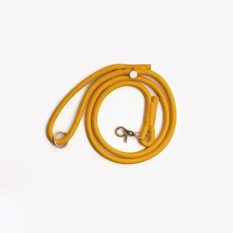 Laisse simple corde jaune
