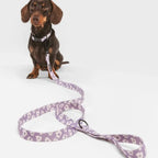 Laisse courte Lilas Fleuri