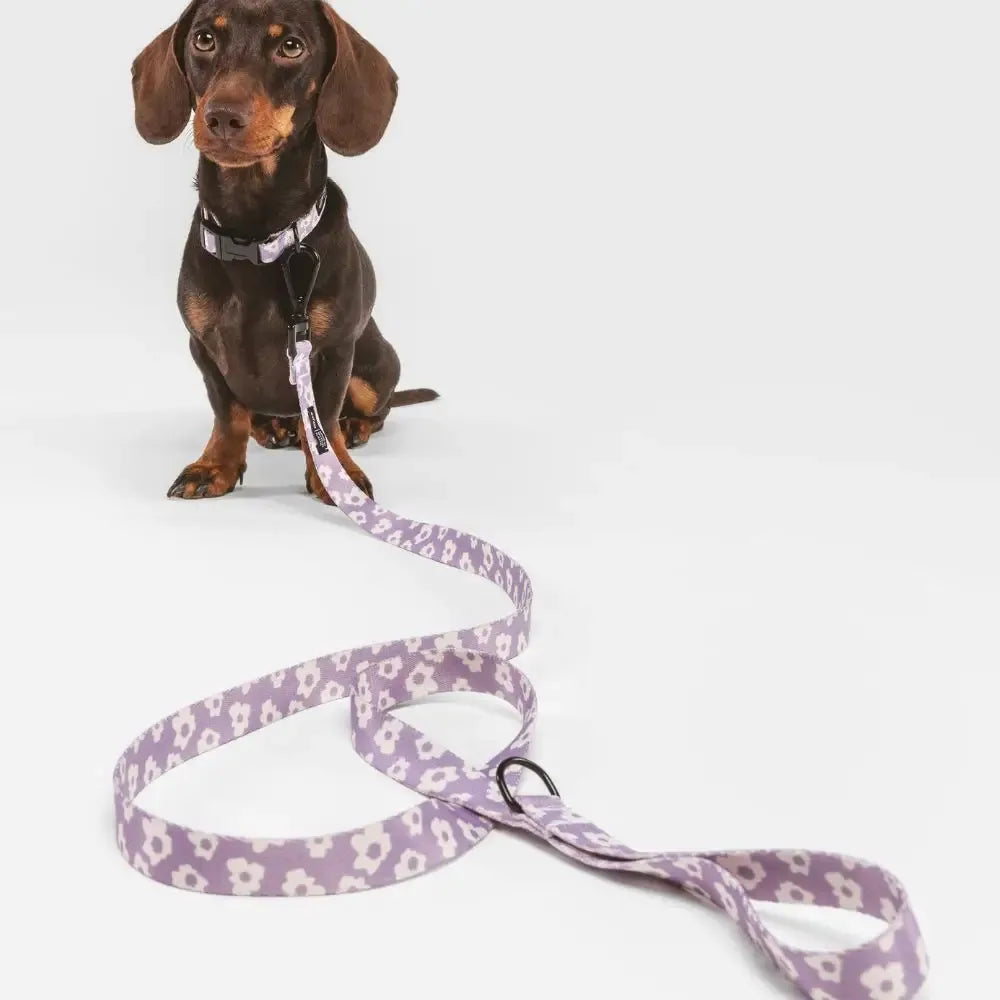 Laisse courte Lilas Fleuri