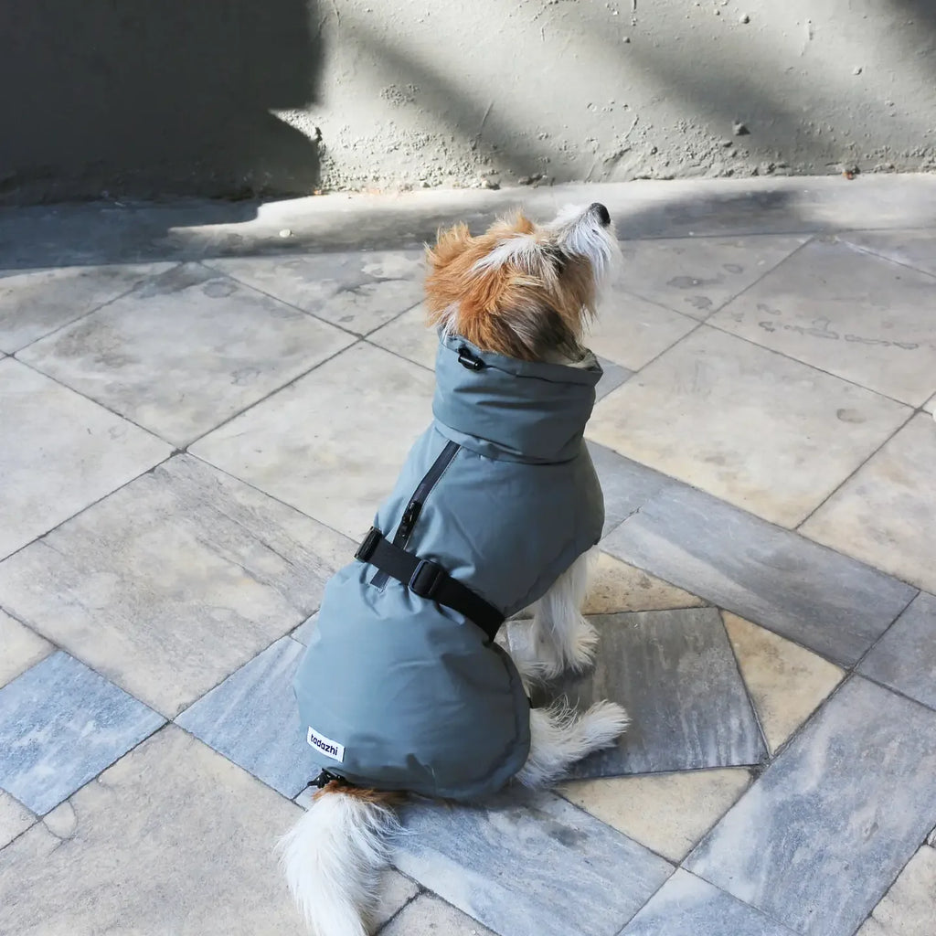 Veste d'hiver