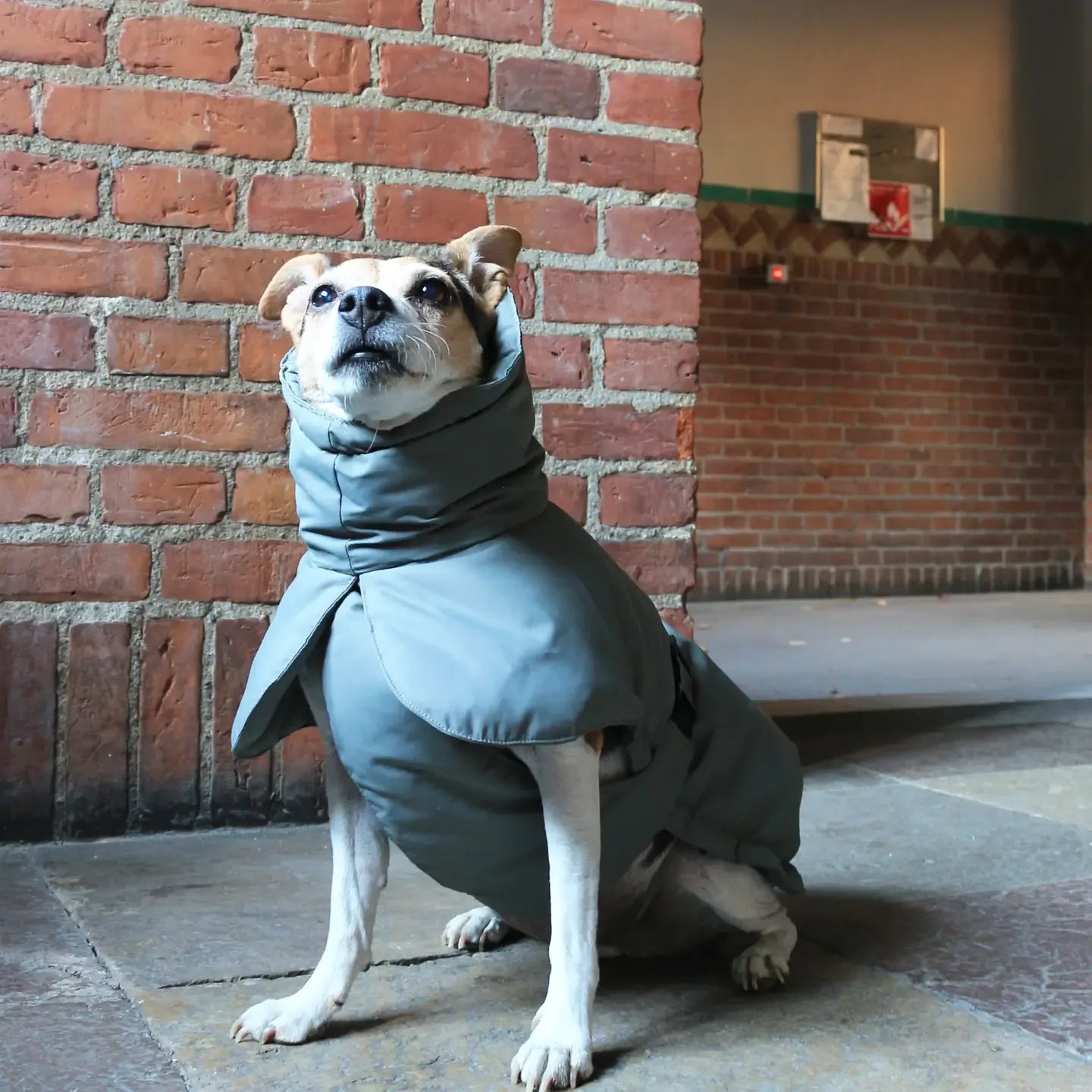 Veste d'hiver
