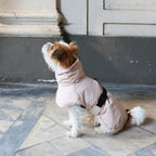 Veste d'hiver
