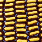 Friandises - Les Moelleux
