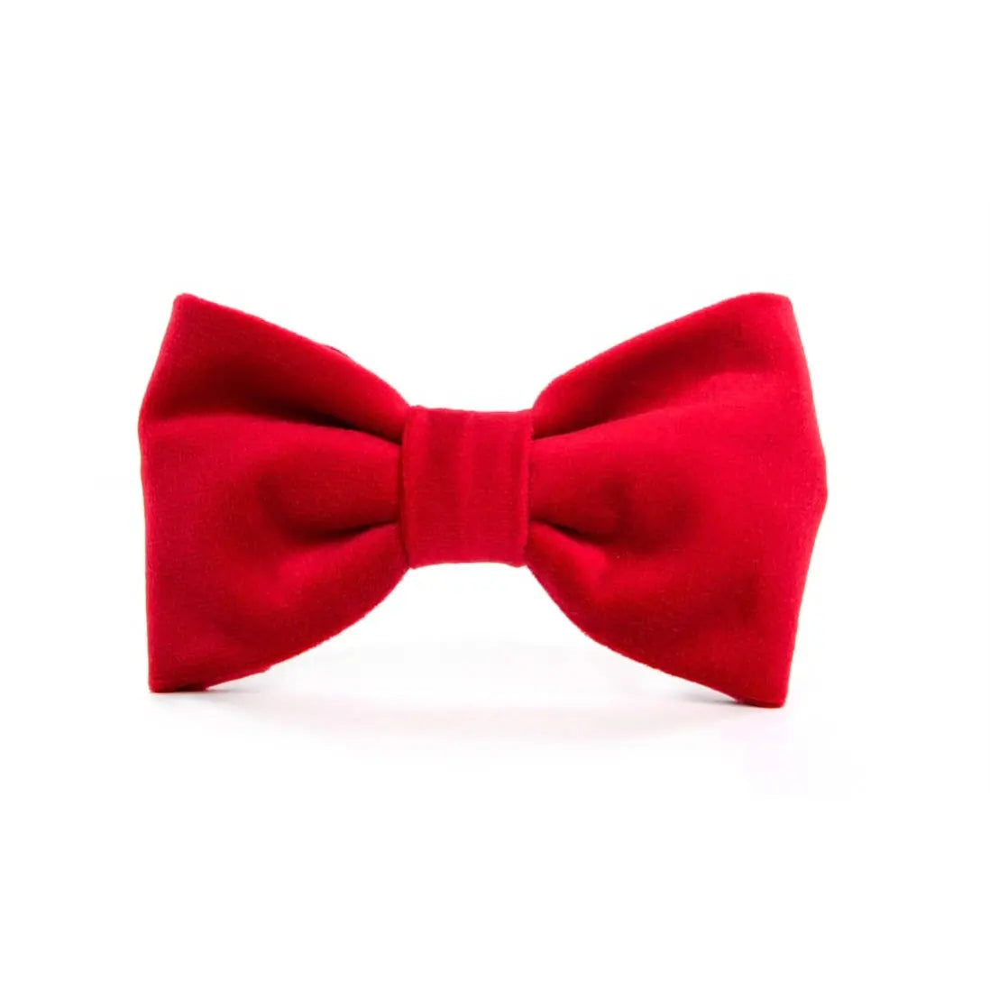 Nœud papillon pour chien en velours
