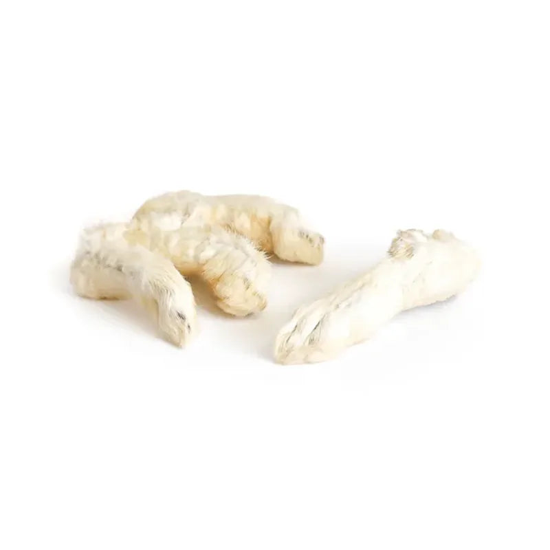 Patte de lapin avec poil