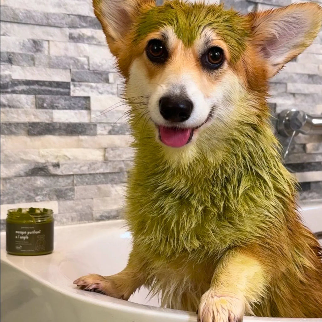 Masque purifiant à l'argile verte & aloe vera pour chien