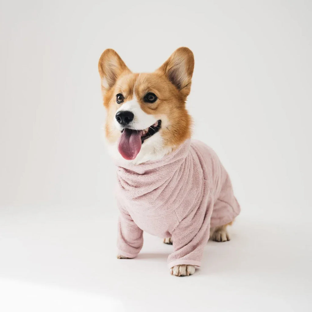 Peignoir pour chien