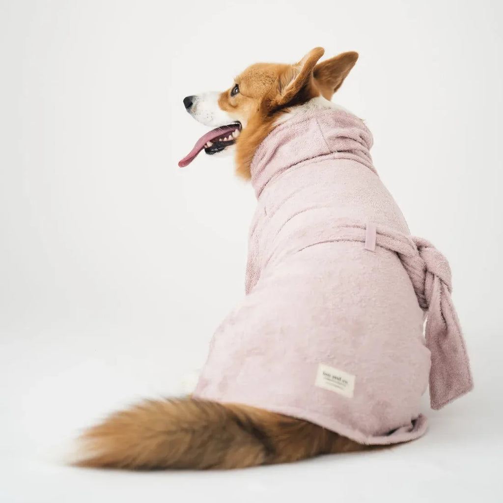 Peignoir pour chien
