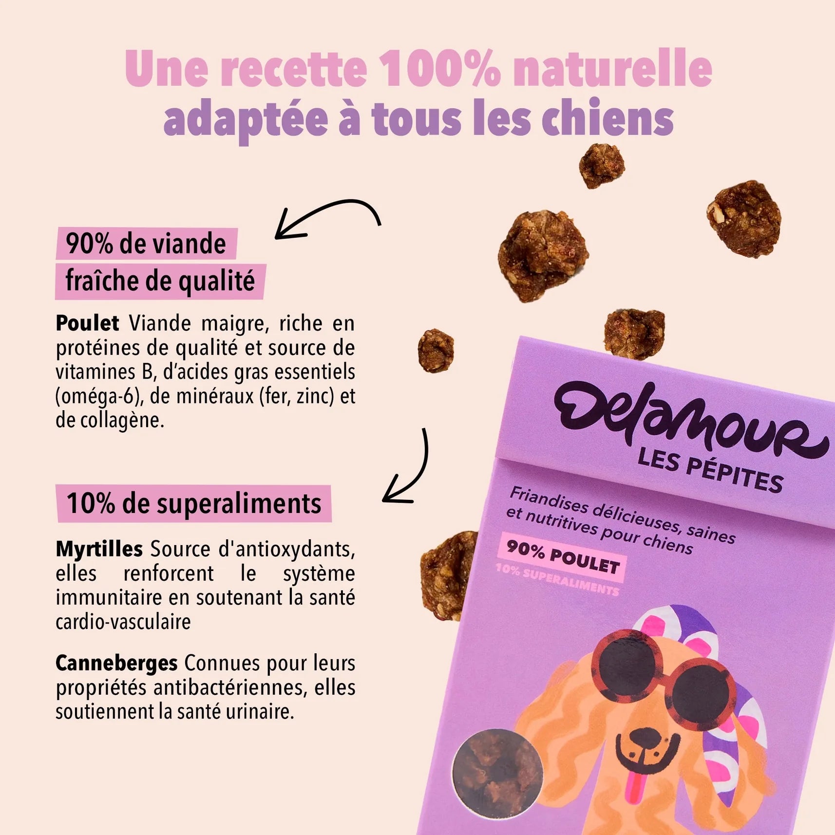Friandises - Les Pépites