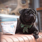 Probiotique pour chien