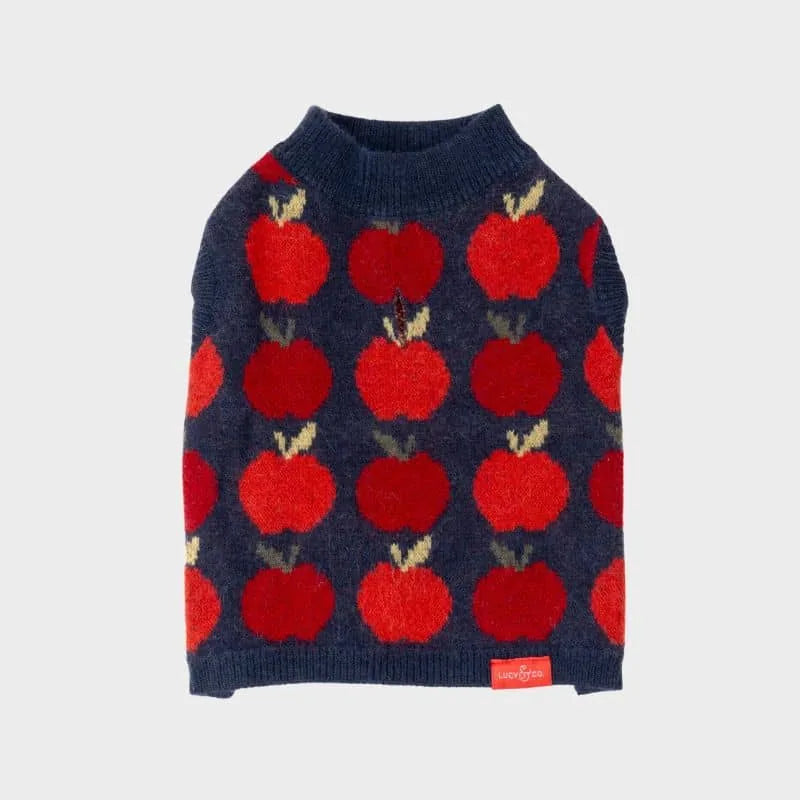 Pull Motif Pomme