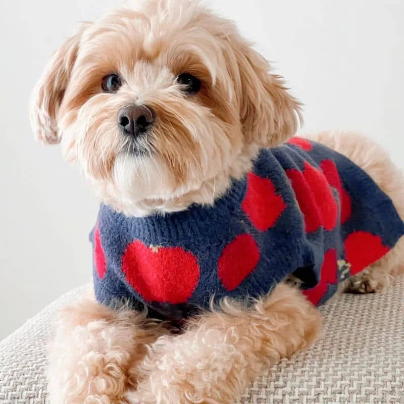Pull Motif Pomme