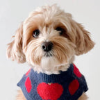 Pull Motif Pomme