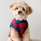 Pull Motif Pomme
