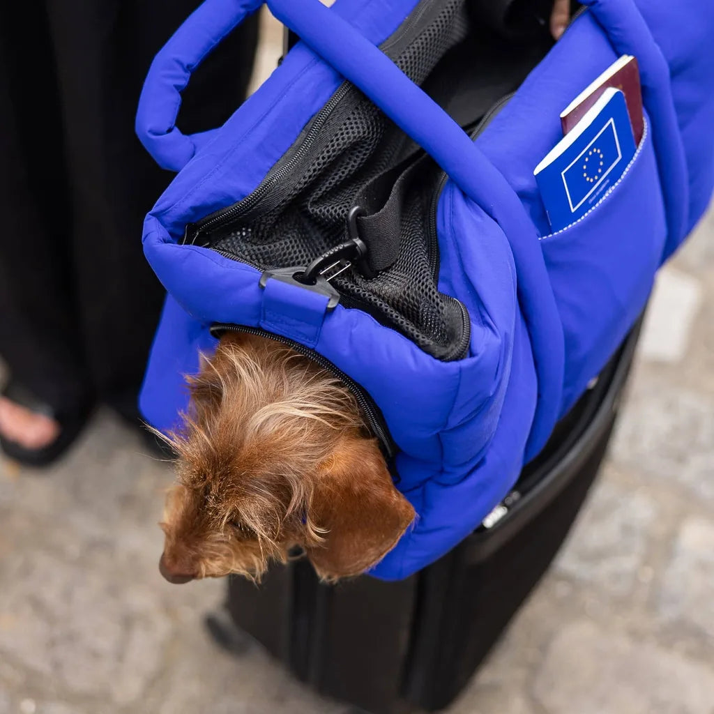 Sac de voyage - Bleu