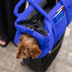 Sac de voyage - Bleu